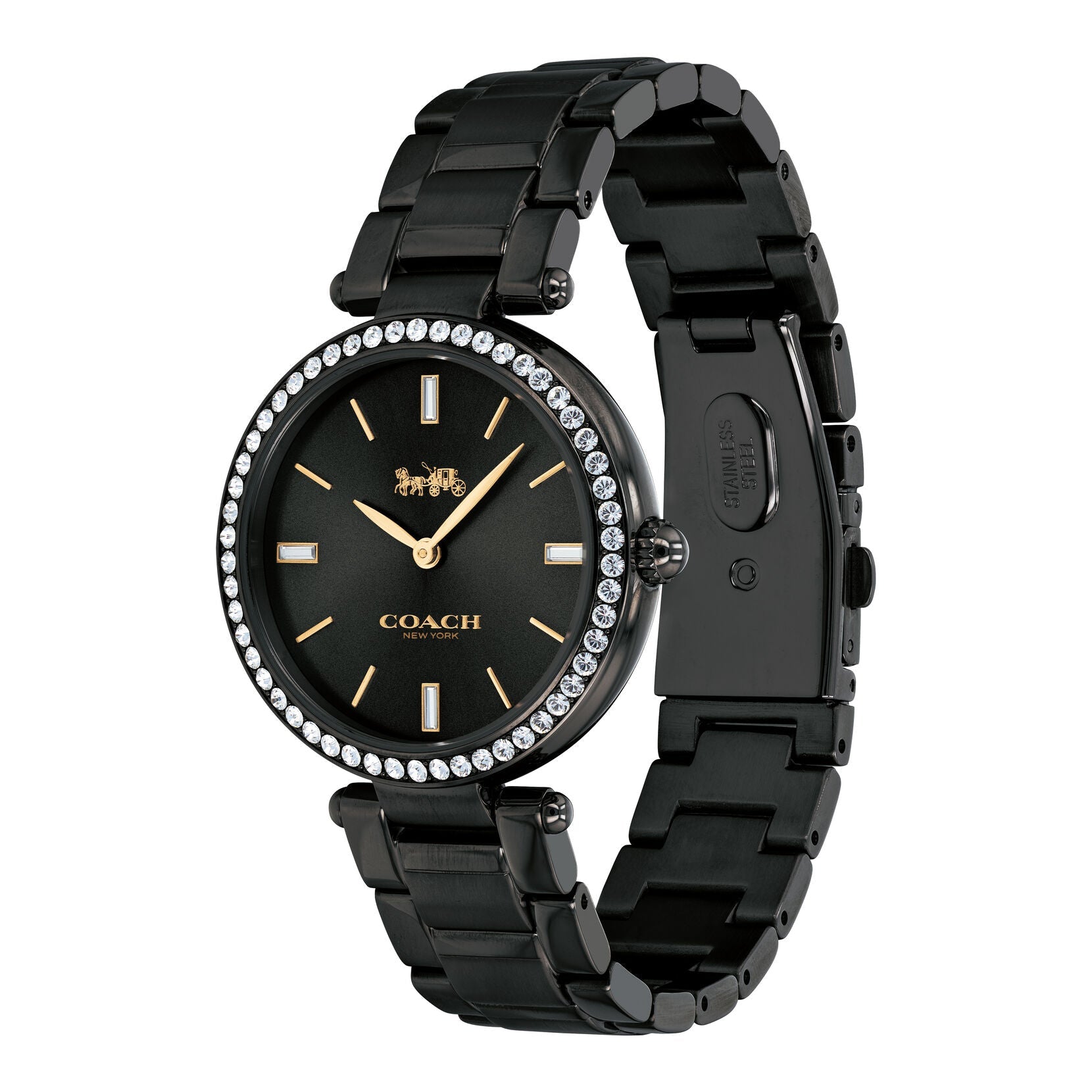 Coach Coach Park Quartz Black Dial Ladies Watch 14503421