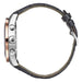 Hugo Boss Hugo Boss Trophy Dial Men's Watch 1513628