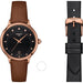 Tissot Tissot T-Lady Quartz Black Dial Ladies Watch T133.210.36.056.00